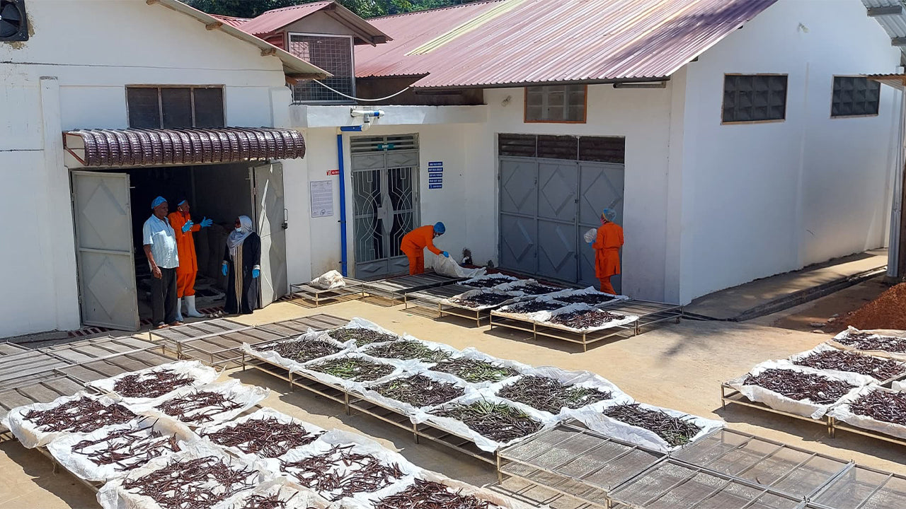 Boosting Our Processing Capacity: New Additions and Enhanced Capabilities